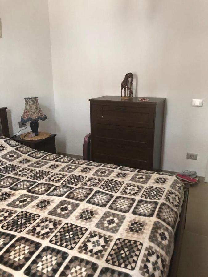 Bouganvilla أذيخي المظهر الخارجي الصورة