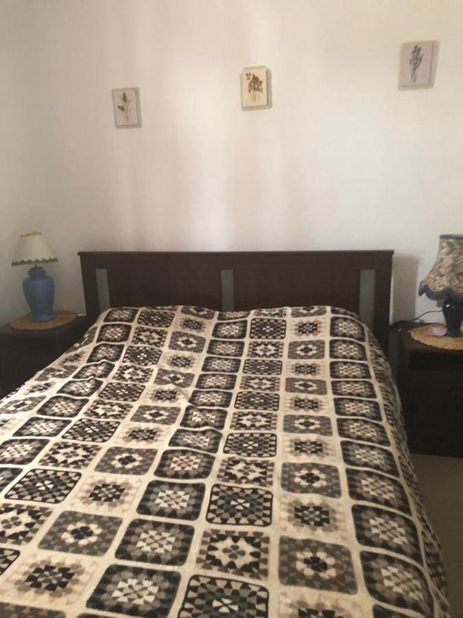 Bouganvilla أذيخي المظهر الخارجي الصورة