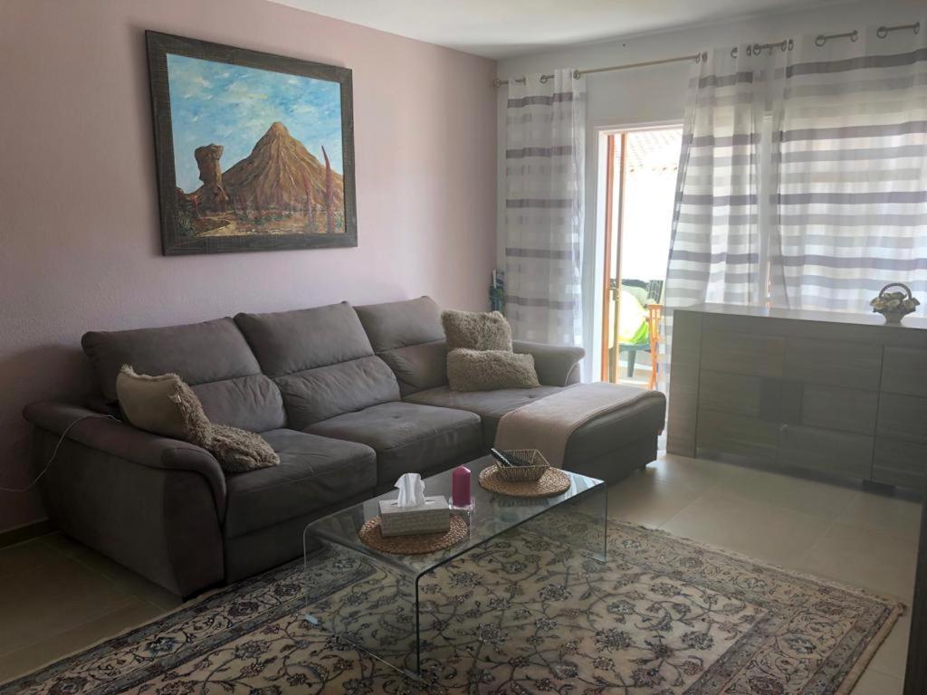 Bouganvilla أذيخي المظهر الخارجي الصورة