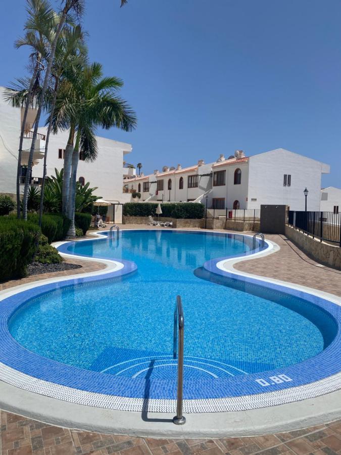 Bouganvilla أذيخي المظهر الخارجي الصورة